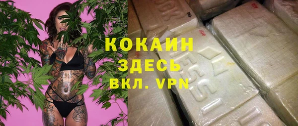 сатива Алексин