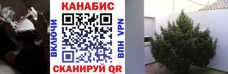 Шишки марихуана марихуана  как найти закладки  Малая Вишера 